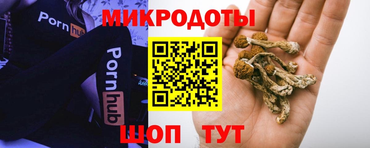 Псилоцибиновые грибы прущие грибы Муравленко